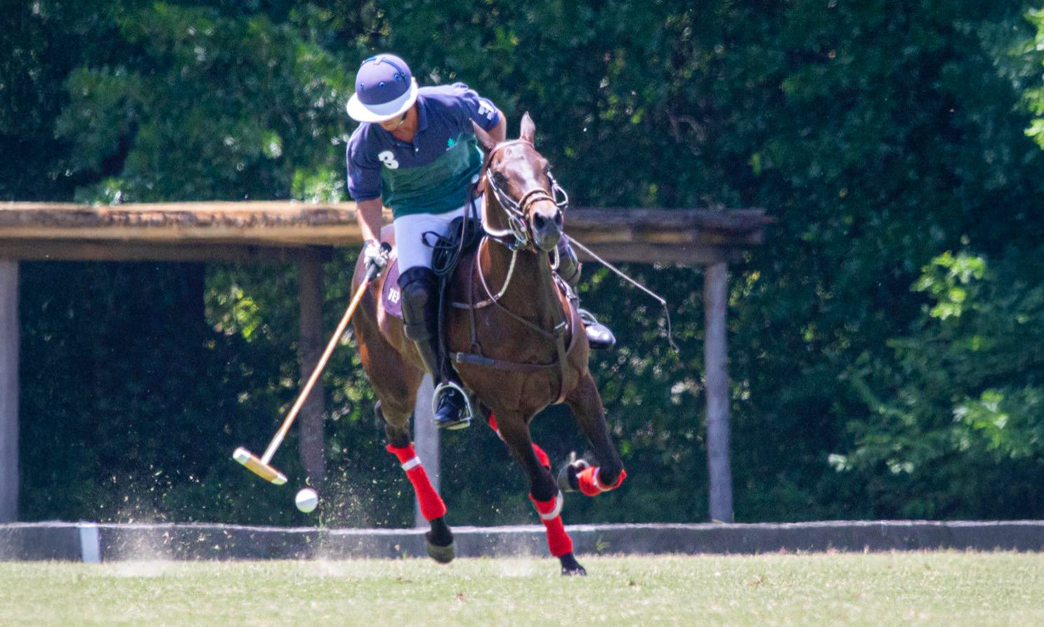 Tomas' Story: My Journey with XPOLAR