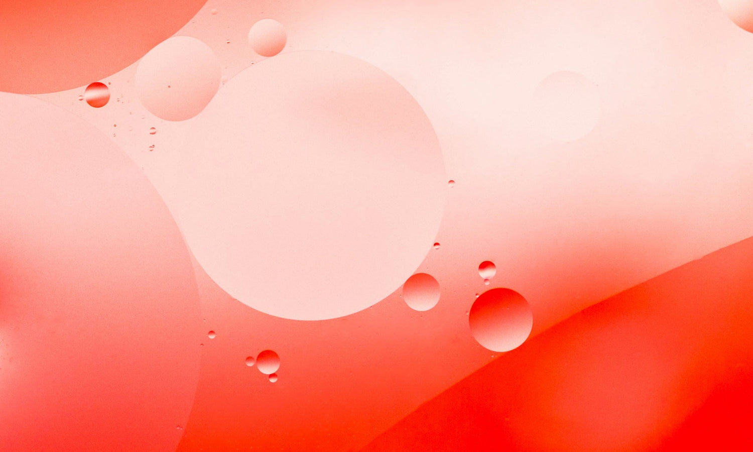 Tissue physiology and the response to heat